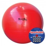 BOLA P/GINASTICA 55CM ALTURA 1,55 A 1,70CM